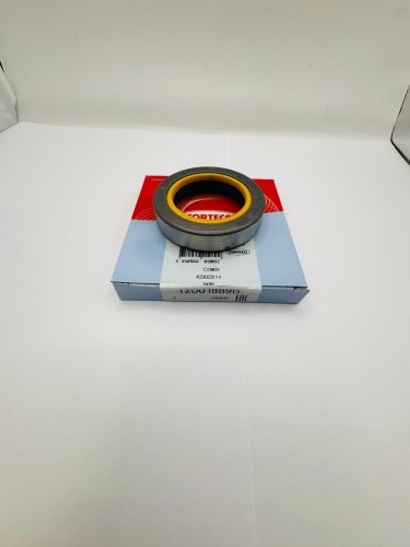12001889.jpg