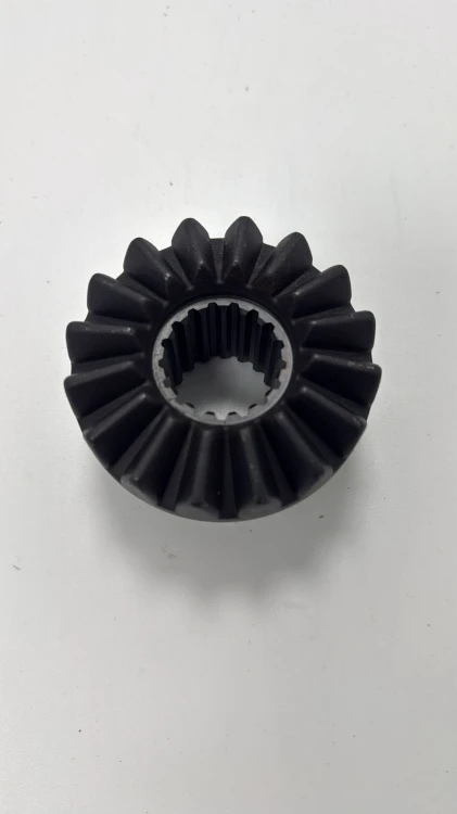 605590.jpg