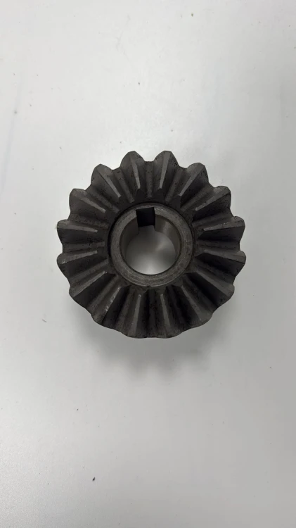 605791-.jpg