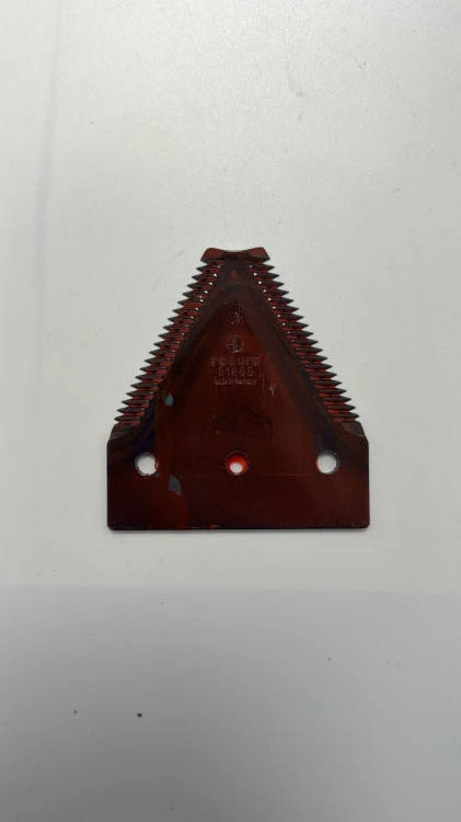 51665 429103.jpg