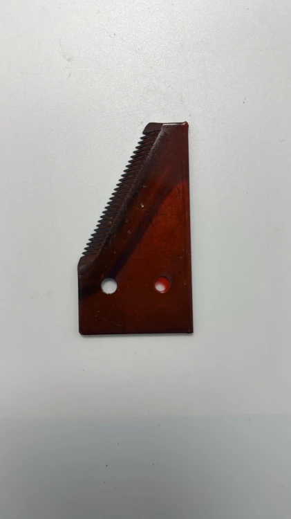 611204.jpg