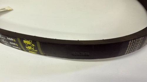 0313181 80336784.jpg