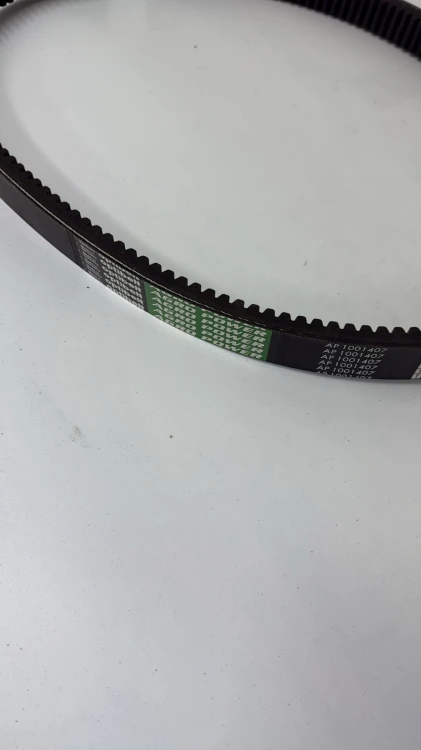 ap1001407.jpg