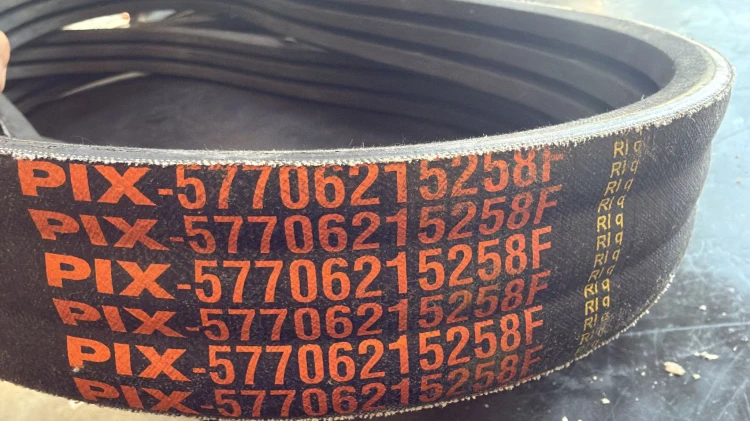 WhatsApp Image 2026-09-03 at 10.17.31.jpeg
